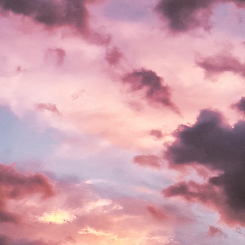 Meet your Posher, Zachary